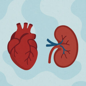 Understanding the New CKM Health Model: What It Means for Patients Like Me